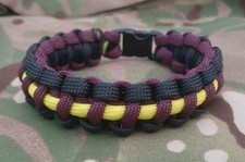 Prince of Wales Own Regiment