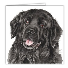 Newfoundland greetings card
