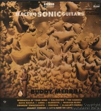 1969 Buddy Merrill Guitar M-