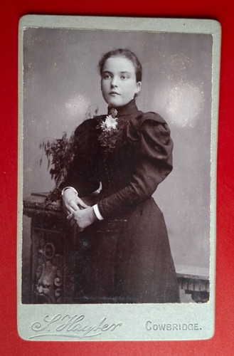 Hayter cowbridge cdv carte - hayter,,