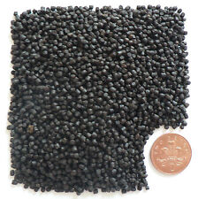 Tropical Fish Food Catfish