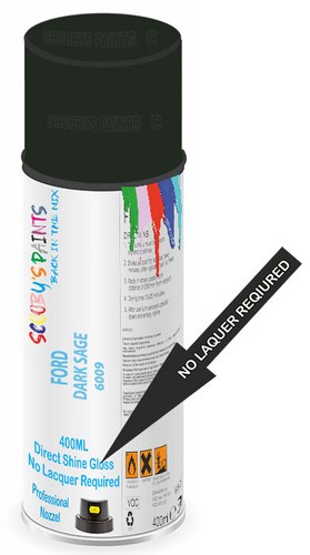 Aerosol paint spray - aerosol, direct