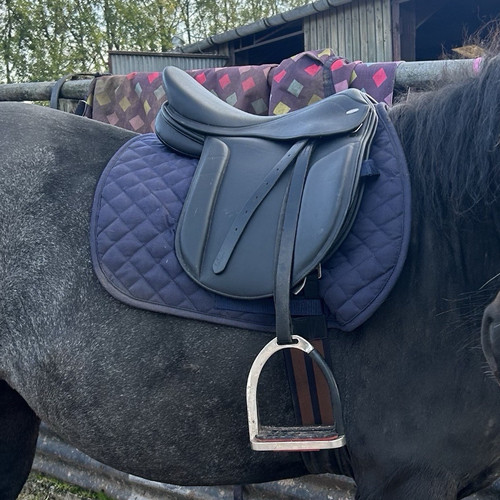 Xxw tekna show saddle - tekna,
