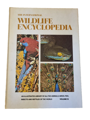 The international wildlife - the,