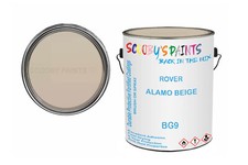 Classic Paint For Mg Magnette