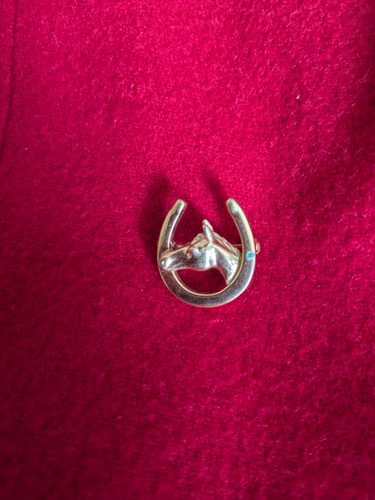 Horse horseshoe brooch gold - &,