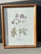 ANTIQUE BOTANICAL PAINTING  WOOD GERANIUM FLOWER KESWICK 1906 FRAMED FLORAL ART