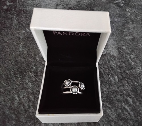 Pandora silver grey - pandora, +