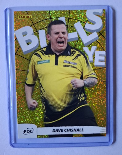 Panini darts world - panini,