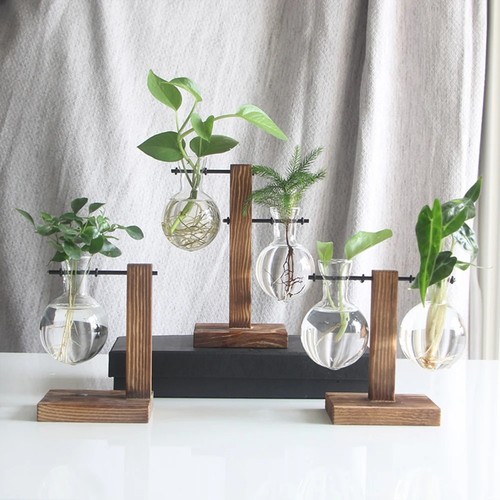 Plant propagation station - propagation,