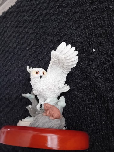 Leonardo snowy owl - snowy,