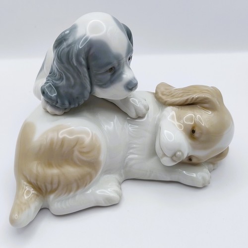 Nao lladro figurine wake - by,