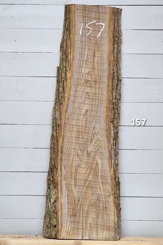 Elm live edge timber 1230mm - edge,