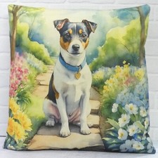 Jack russell terrier dog - jack,