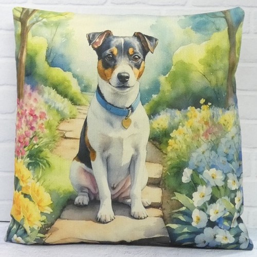 Jack russell terrier dog - jack,