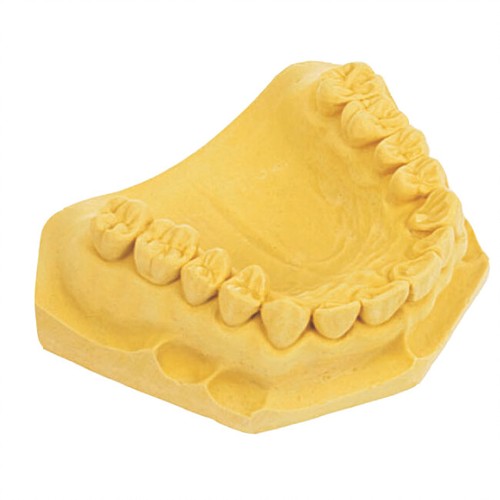 House brand dentistry dental - dentistry,