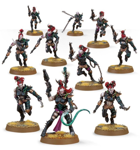 10x drukhari wyches - drukhari, on