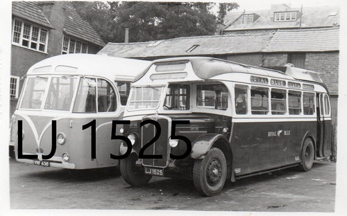 Royal blue 3731 lj1525 aec - blue,