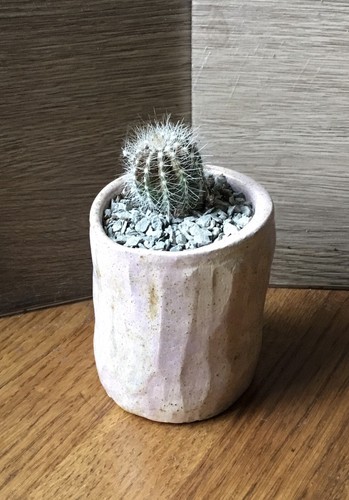 Cactus plant handmade - in,
