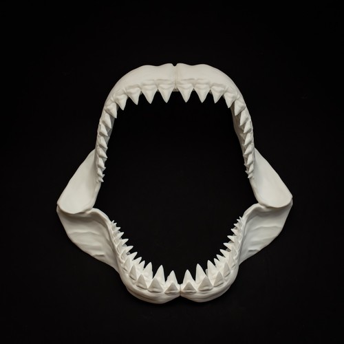 Great white shark jaw replica - white,