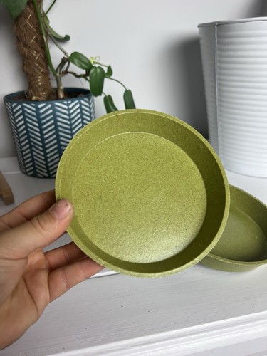 Bamboo biodegradable plant - biodegradable,