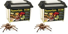 Exo Terra Faunarium Small