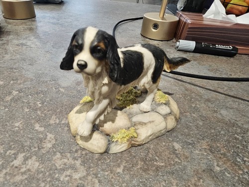 Tom mackie teviotdale cavalier - mackie,