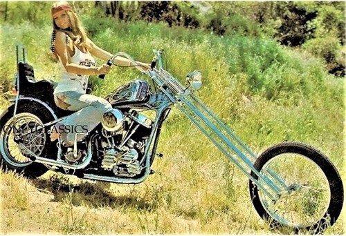 Roberta pedon harley - roberta,