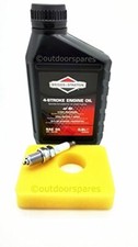 Outdoor Spares Lawn Mower Service Kit Compatible With Briggs & Stratton Engine