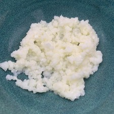 Organic Pasteurised Milk Kefir Grains – 20g + Care Guide – Probiotic Starter