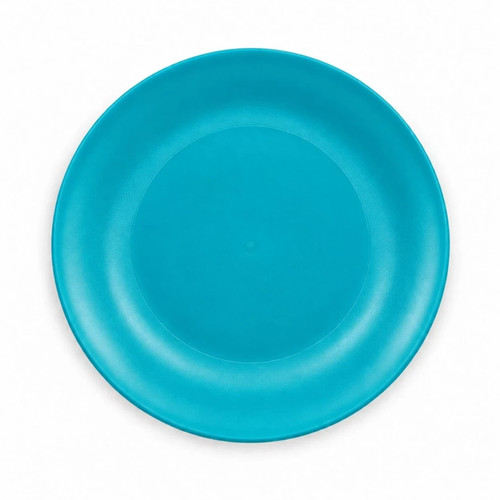 Reusable plastic plates - reusable,