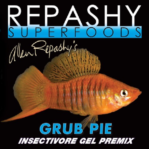 Repashy grub pie - grub,