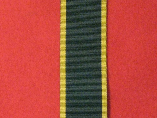 Full size efficiency medal - efficiency,