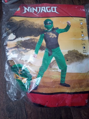 Lego ninjago costume - costume, 10-12
