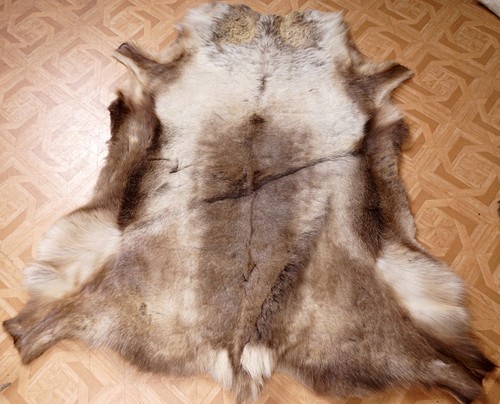 Beautiful reindeer fur - beautiful,