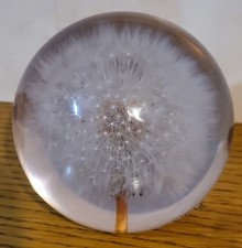 Paperweight/Resin Written