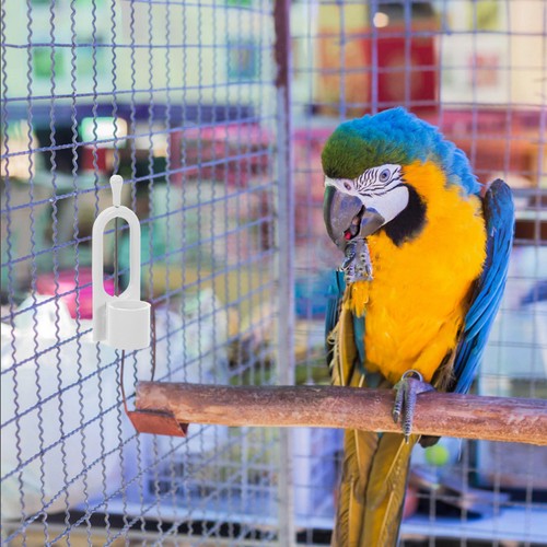 Ferret accessories bird bowls - accessories,