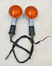 Pair Of Rear Indicators (Light