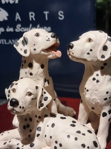 Border fine arts dalmatian - fine, 3