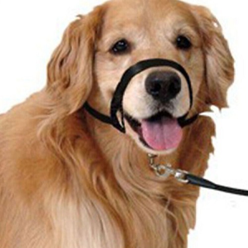Dog headcollar non pull - non,
