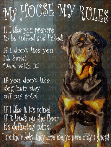 Rottweiler house rules - rottweiler,