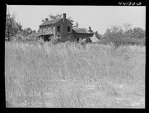 White plains georgia greene - plains,