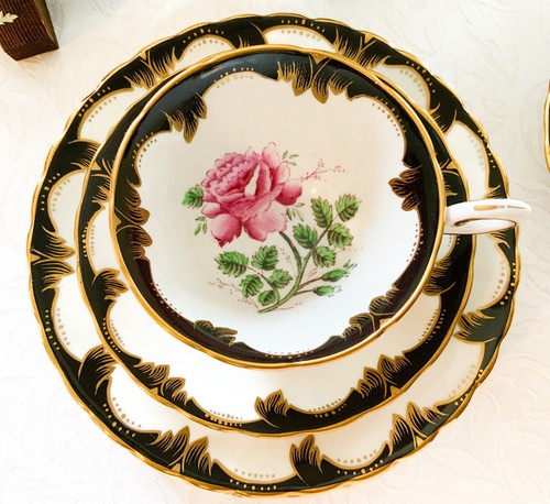 Rare vintage plant tuscan - vintage,