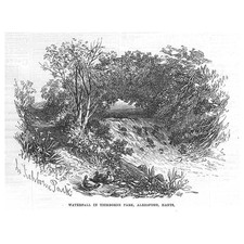 ALRESFORD Waterfall in Tichborne Park - Antique Print 1871