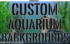 Custom Aquarium Backgrounds