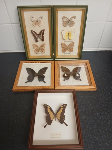 Vintage 1980 framed - vintage,