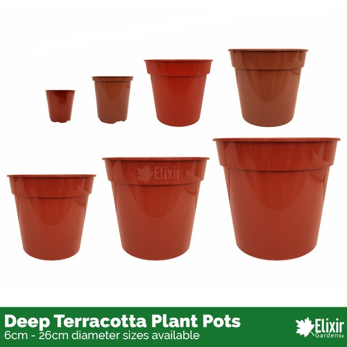 Strong deep terracotta - strong,