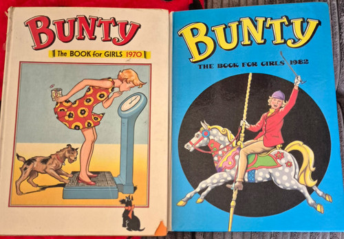 Bunty the book - bunty,