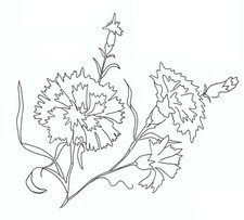 Embroidery Transfer Iron On -