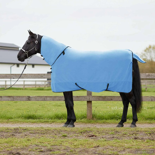 Horse blanket aqua 145cm - blanket,
